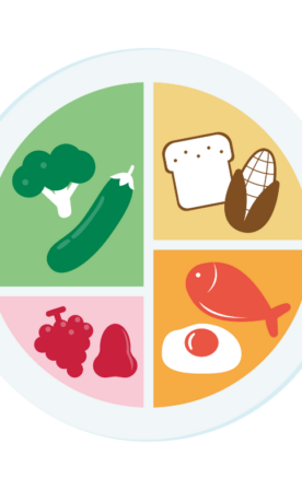 De bonnes proportions pour une assiette équilibrée