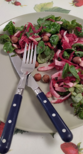 Salade de fenouil et betterave