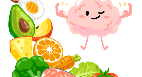 Bien MANGER pour la SANTÉ de notre CERVEAU