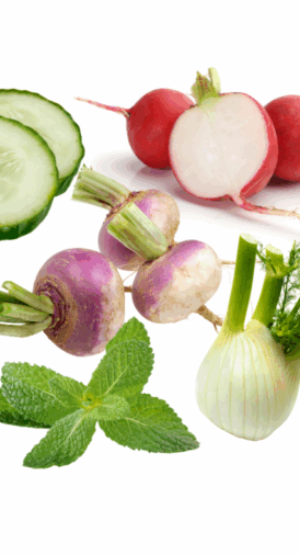 Carpaccio de légumes à la menthe