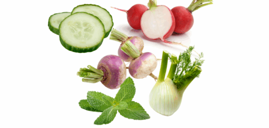Carpaccio de légumes à la menthe