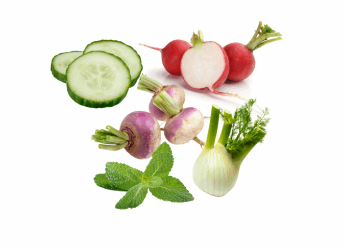 Carpaccio de légumes à la menthe