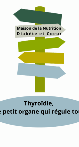 Thyroïde, ce petit organe qui régule tout